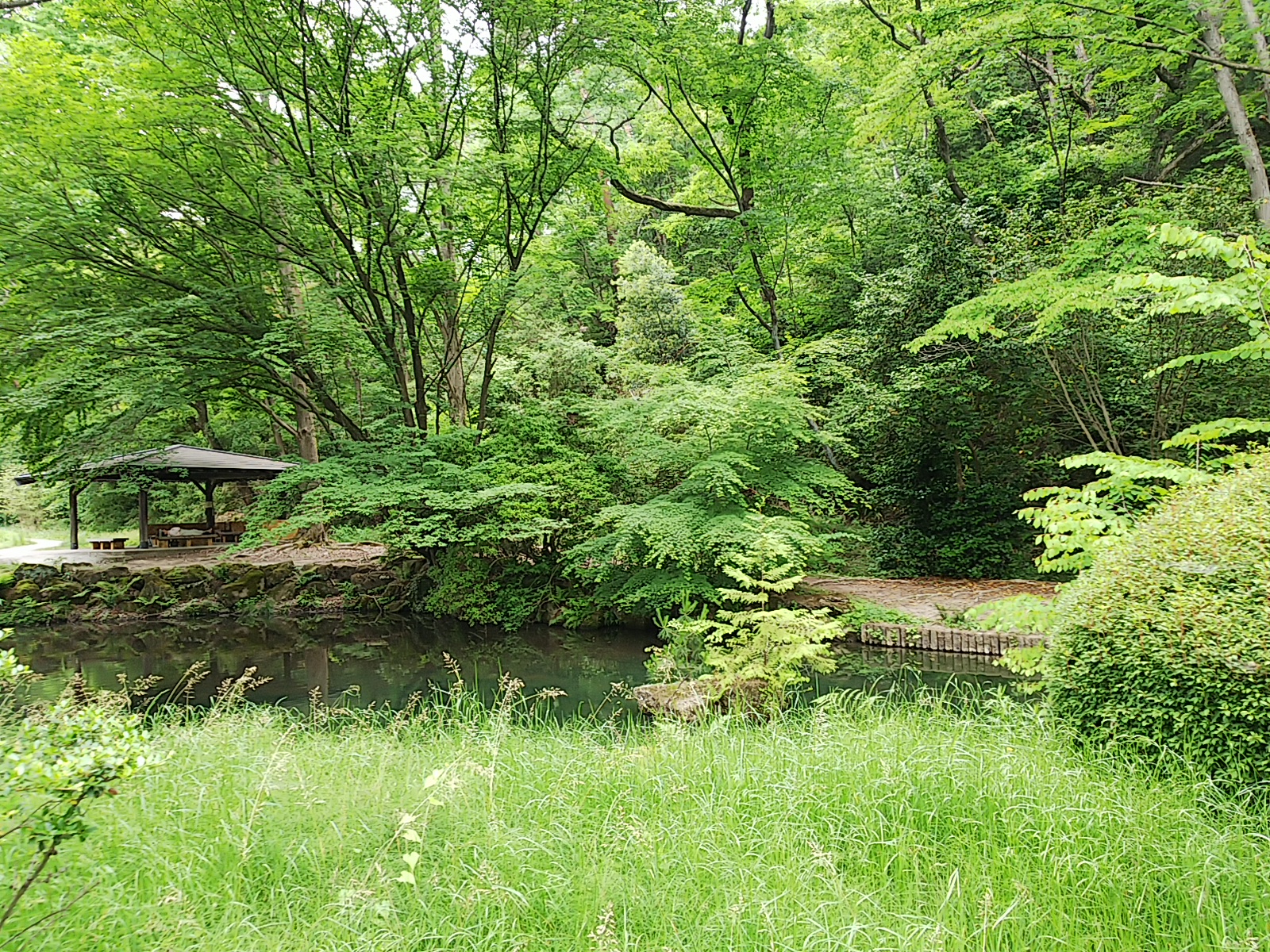 公園