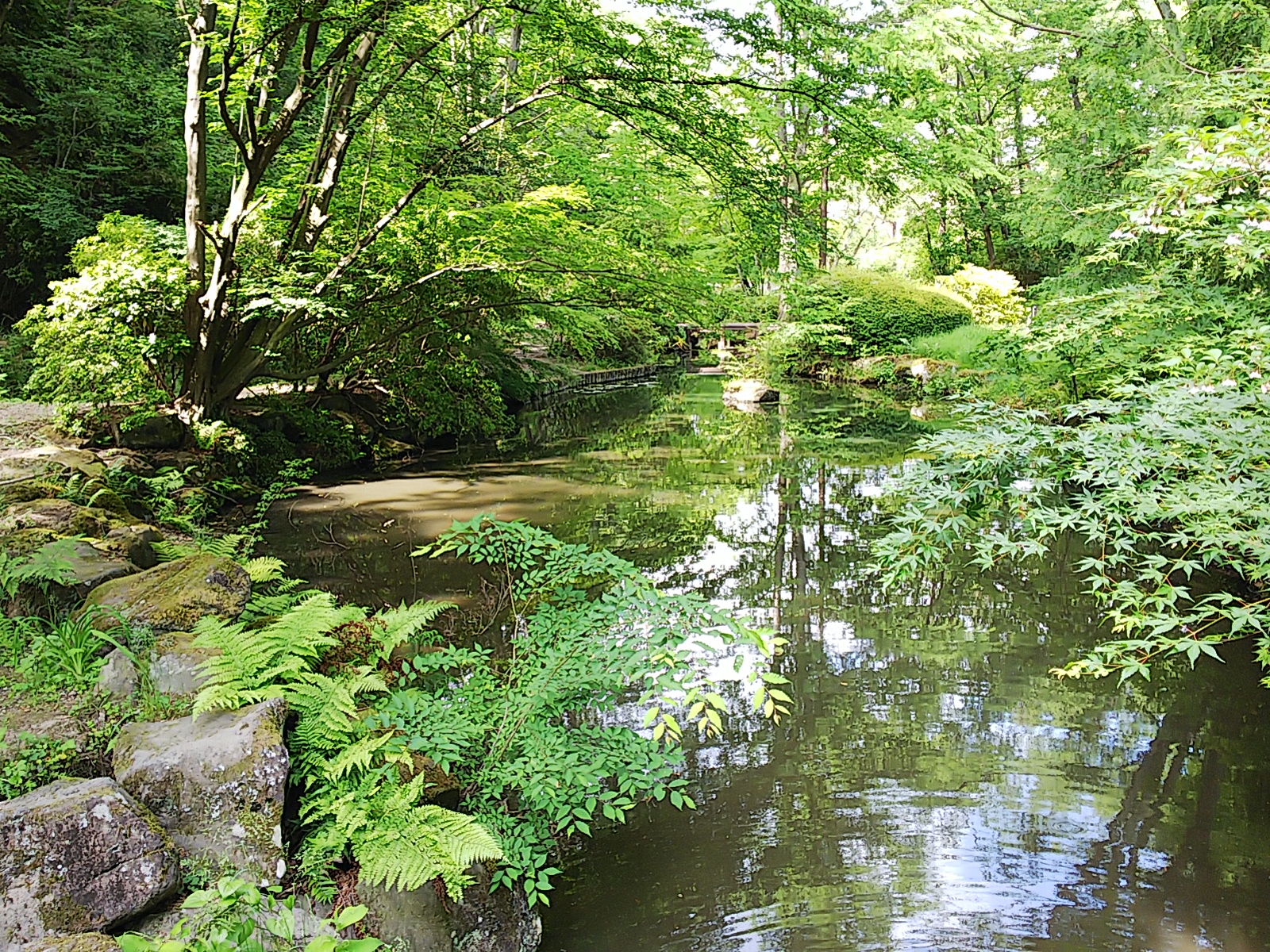 公園