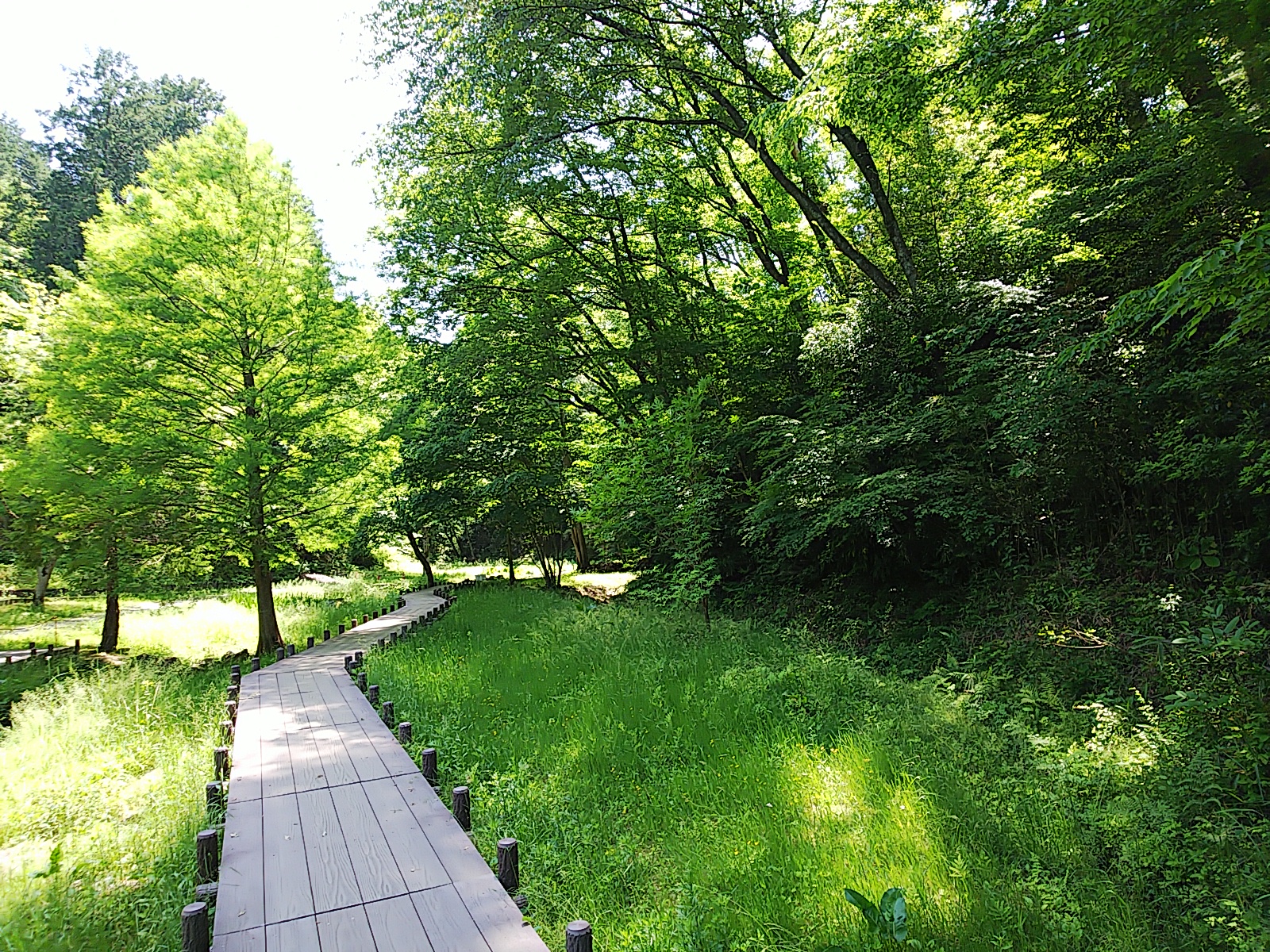 公園